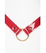 Red Hot Collar and Leash | Luxury Kink