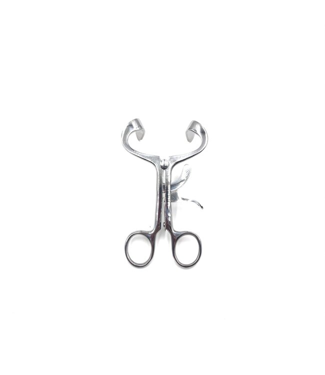 Molt Mouth Spreader Gag