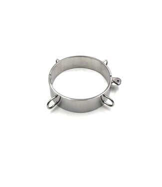 Bondesque Steel Collar with D rings