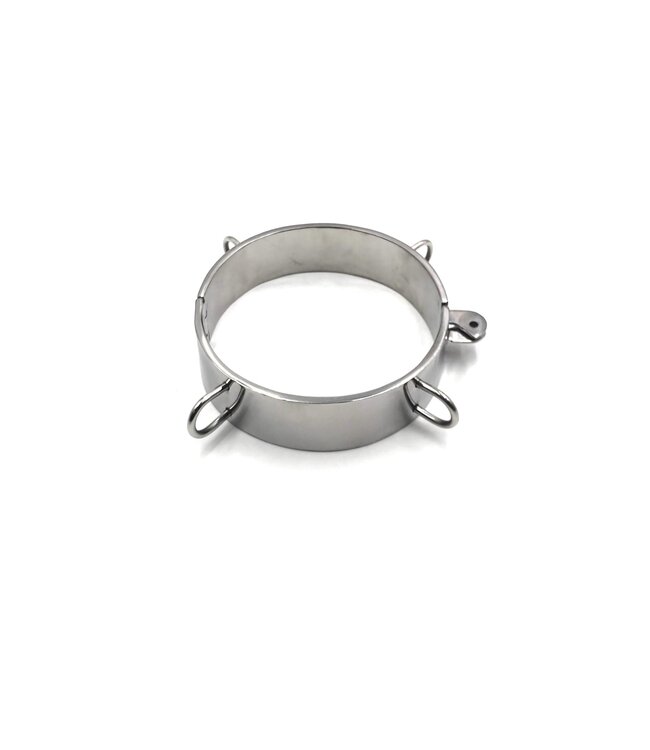 Steel Collar with D rings