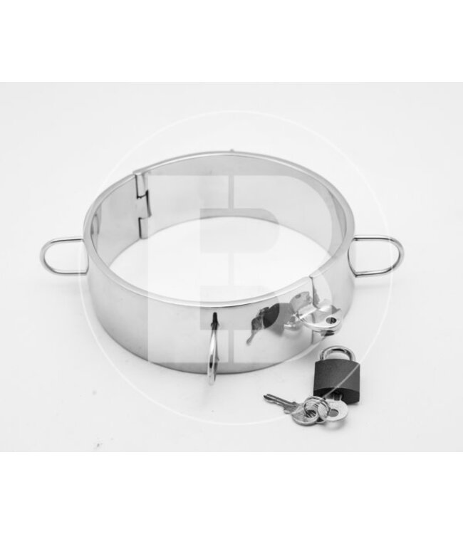 Steel Collar with D rings