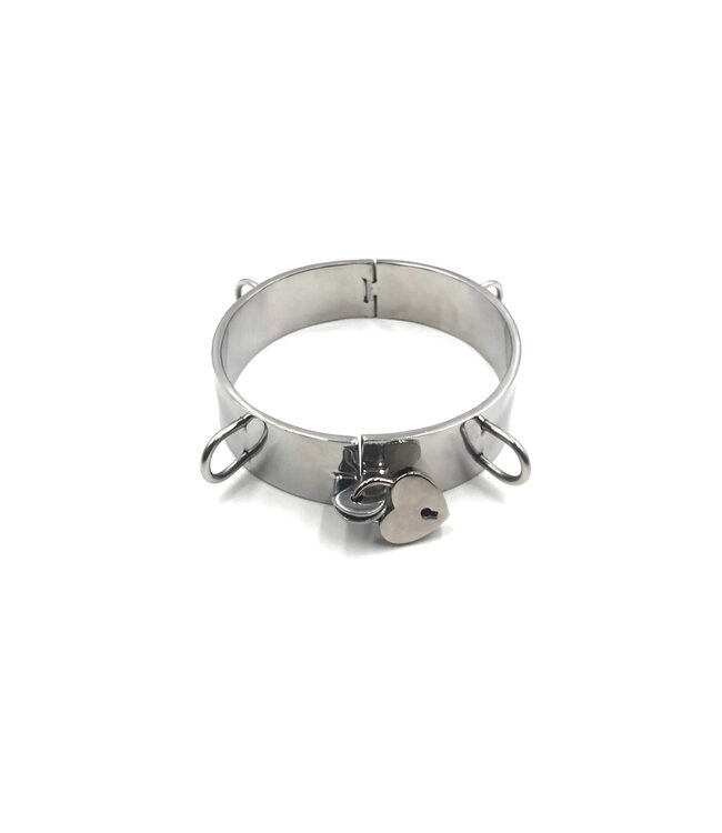 Steel Collar with D rings