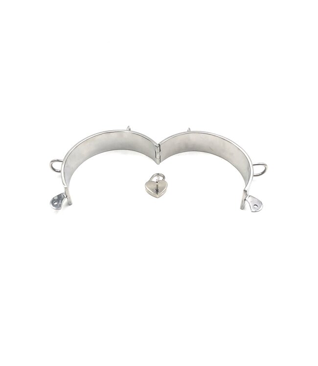 Steel Collar with D rings