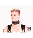 Tom of Finland Locking Neoprene Collar
