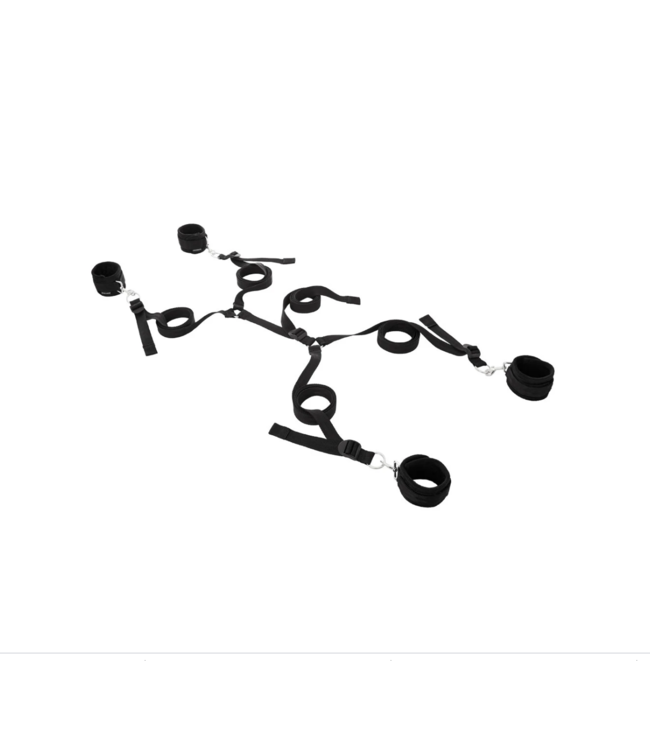 Under The Bed Restraint System