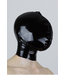 Enclosed Latex Hood
