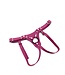 Nicki Jaguar Dildo Harness | Aslan Leather