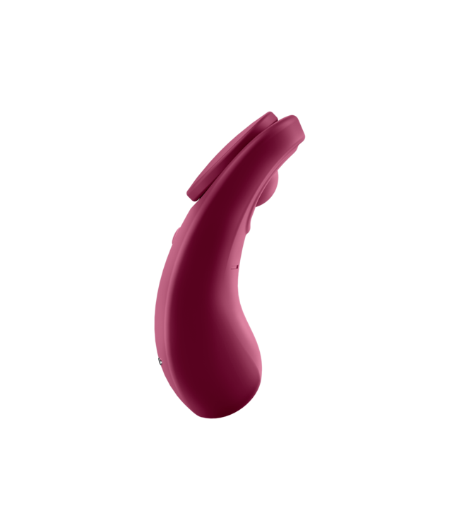Satisfyer Sexy Secret Panty Vibrator