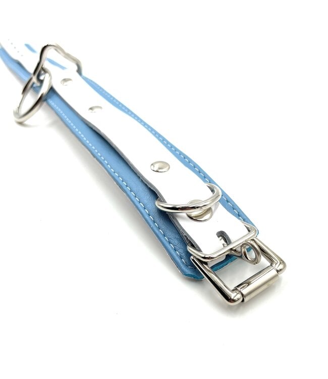 Crystal Blue  Leather Collar | Jagual Collection By Aslan Leather