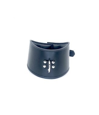 XR Padded Leather Locking Posture Collar