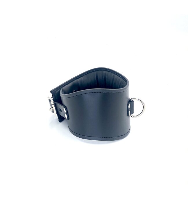 Padded Leather Locking Posture Collar