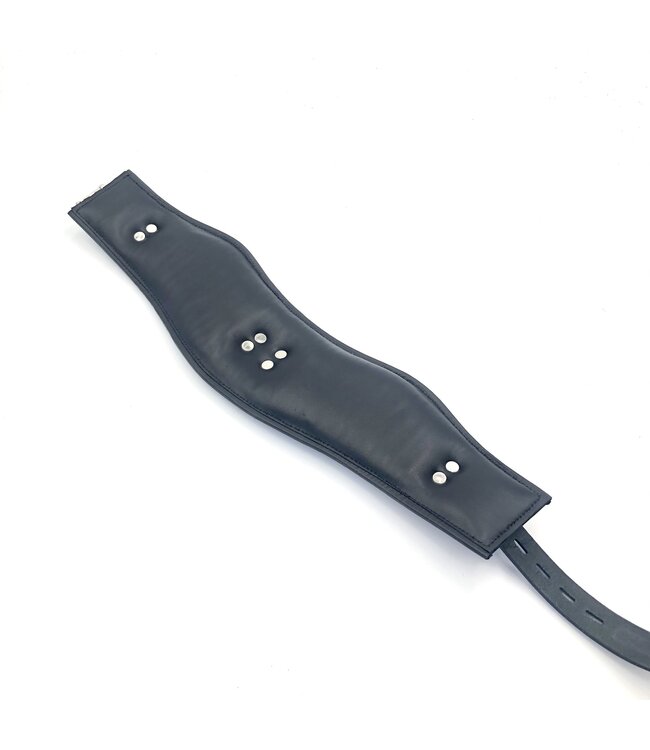 Padded Leather Locking Posture Collar
