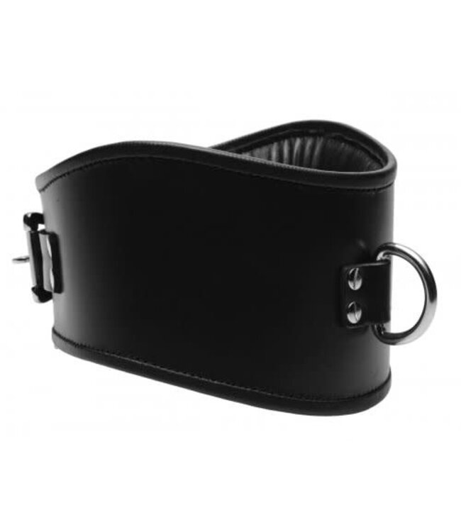 Padded Leather Locking Posture Collar