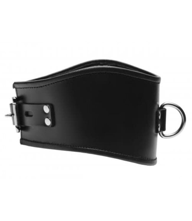 Padded Leather Locking Posture Collar