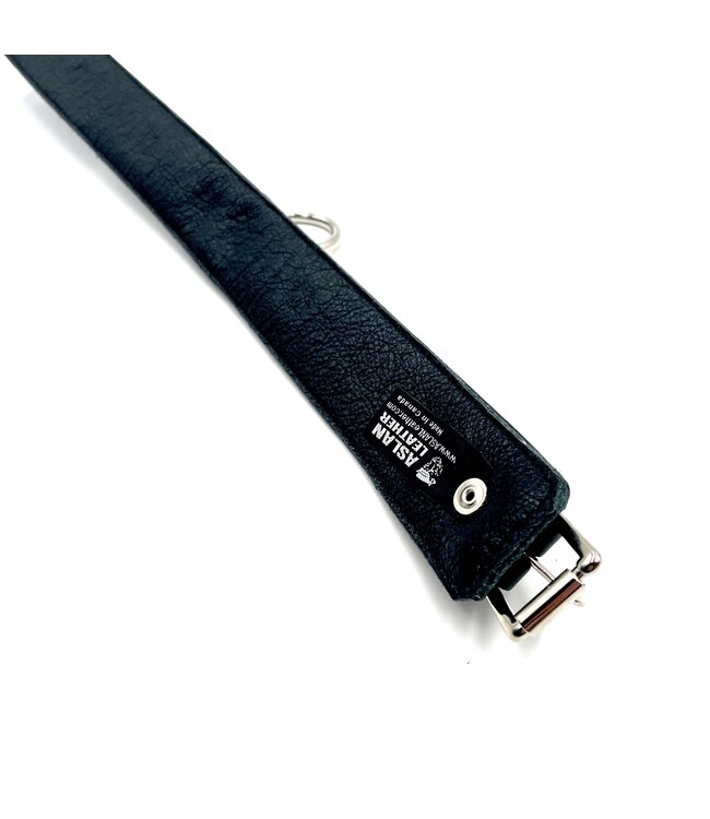 Black Leather Collar | Jaguar Collection By Aslan Leather