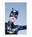Vinyl Cat Mask