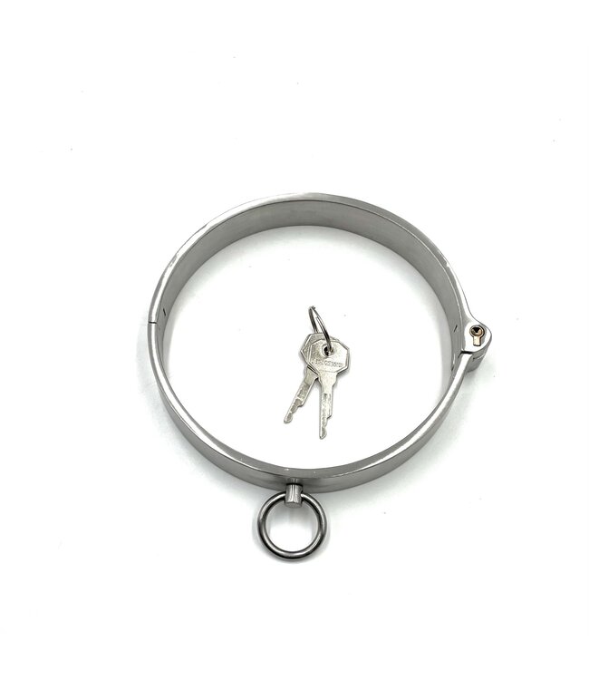 Brushed Stainless Steel Own Me Collar