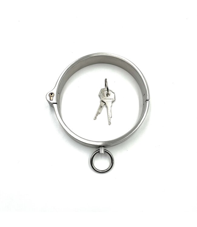 Brushed Stainless Steel Own Me Collar