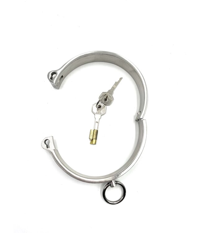 Brushed Stainless Steel Own Me Collar