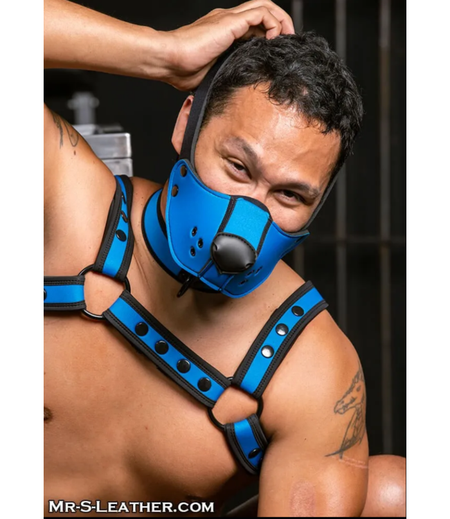 Neoprene K9 Face Muzzle Kit