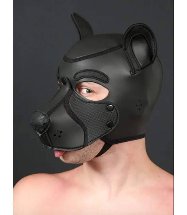 Neoprene Frisky Pup Hood