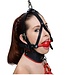 MBE Ball Gag  with Leather Harness