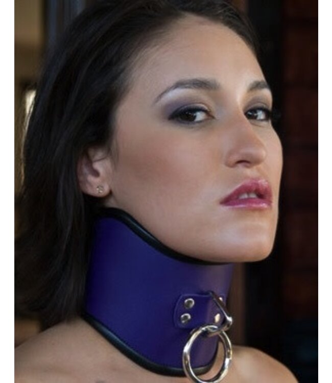 Tall Curved Posture Collars