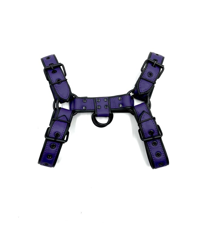 Spanked Bulldog Harness