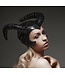 Shiny ribbed horns - iBEX