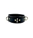 Steampunk Collar | Jaguar Collection by Aslan Leather