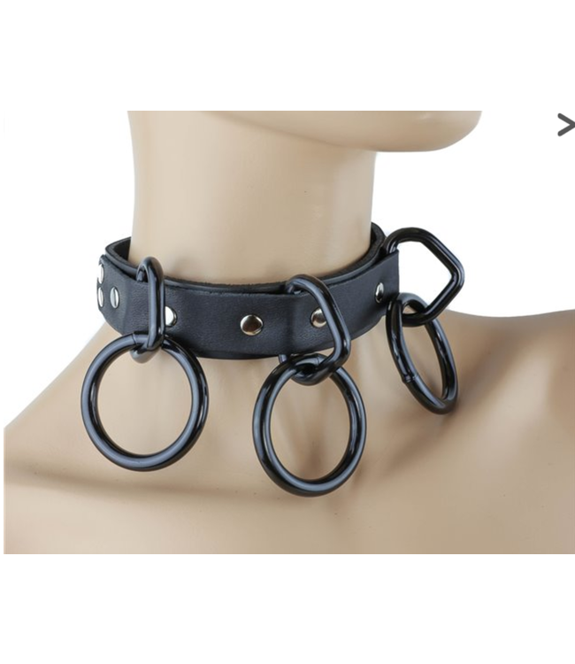 Collar w/3 loop and rings