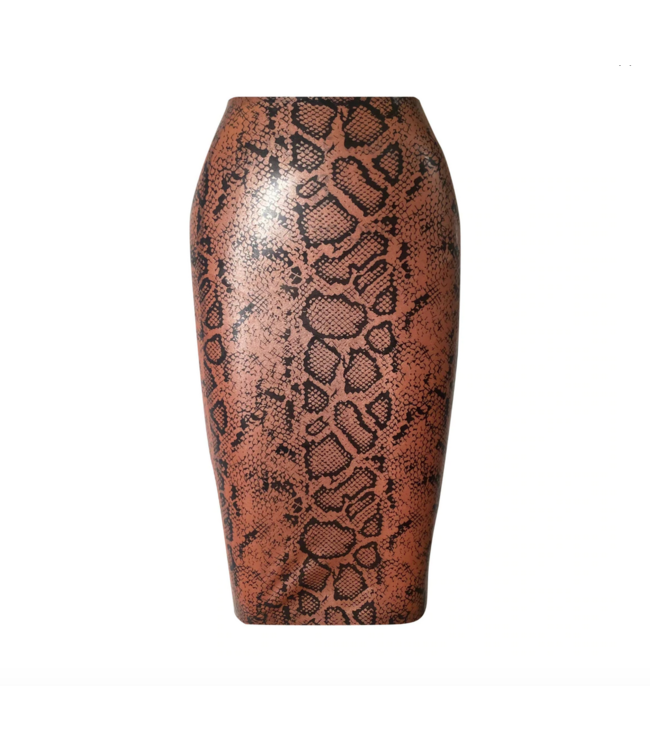 Print Latex Pencil Skirt