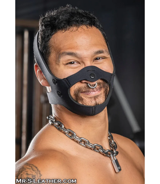 Mr. S Leather Neo Face Muzzle Head Harness