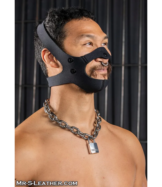 Neo Face Muzzle Head Harness