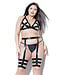 Darque Wet Look Bra Top & Leg Harness