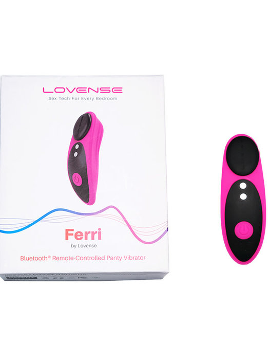 LOVENSE Ferri Wearable Magnetic Panty Vibrator, Long Distance Bluetooth  Remote Reach with Music Sync, Partner & App Control
