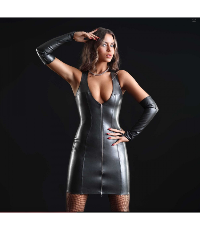 Taylor Faux Leather Dress