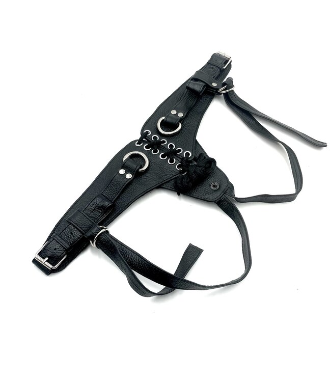 Spanked Strap It On & Play | Strap-on Harness