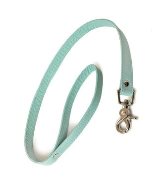 Stockroom Zoë Ligon 2' Leash Mint Green