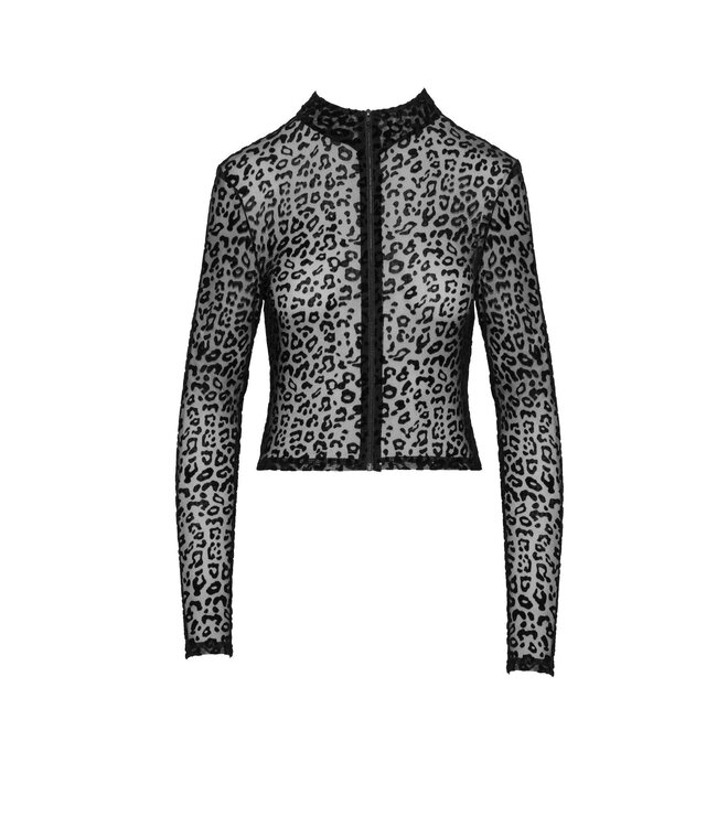 Leopard Crop Top with Long Sleeves