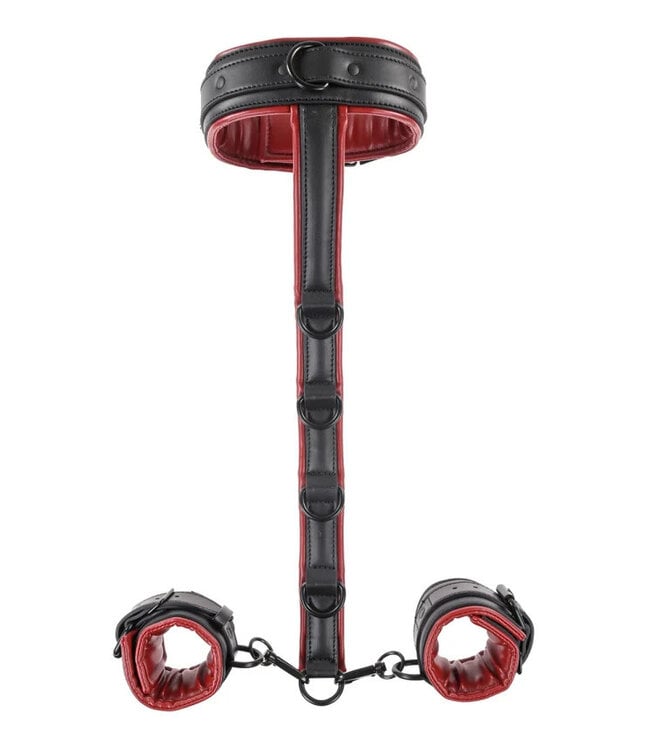 Adjustable Neck & Wrist Restraints