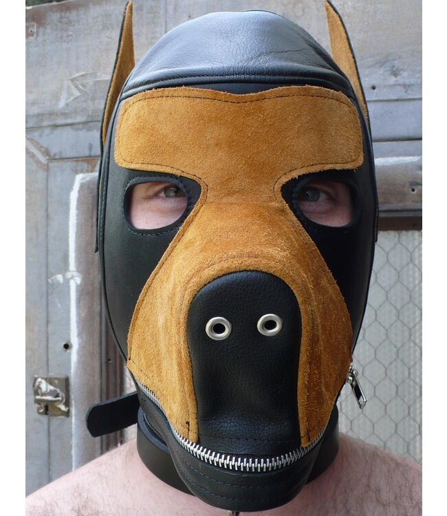 Two-Toned Dog Hood