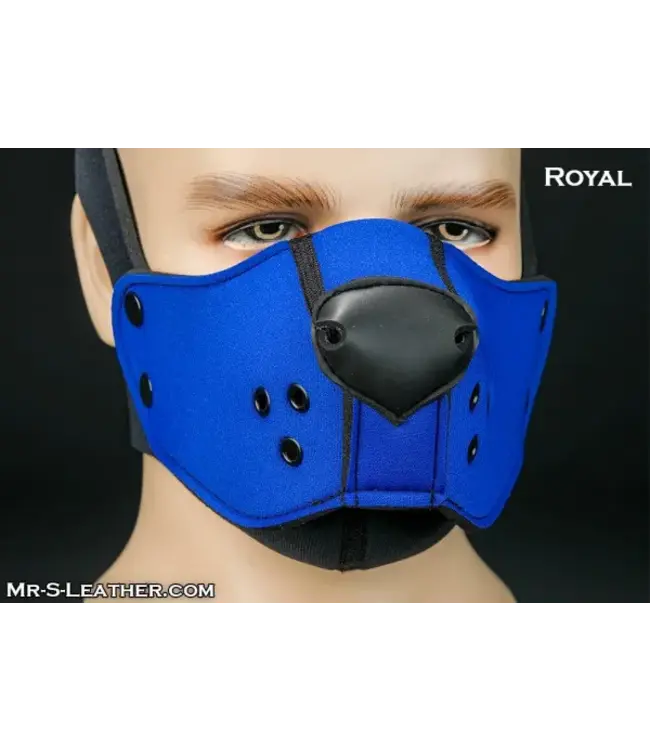 Neoprene K9 Face Muzzle Kit