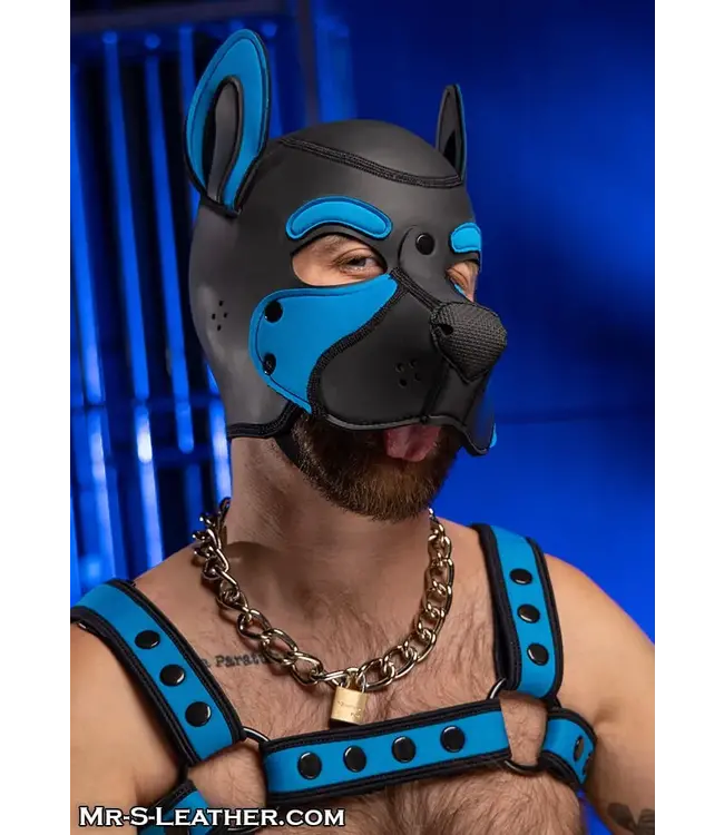 Neoprene Frisky Pup Hood