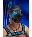 Neoprene Frisky Pup Hood