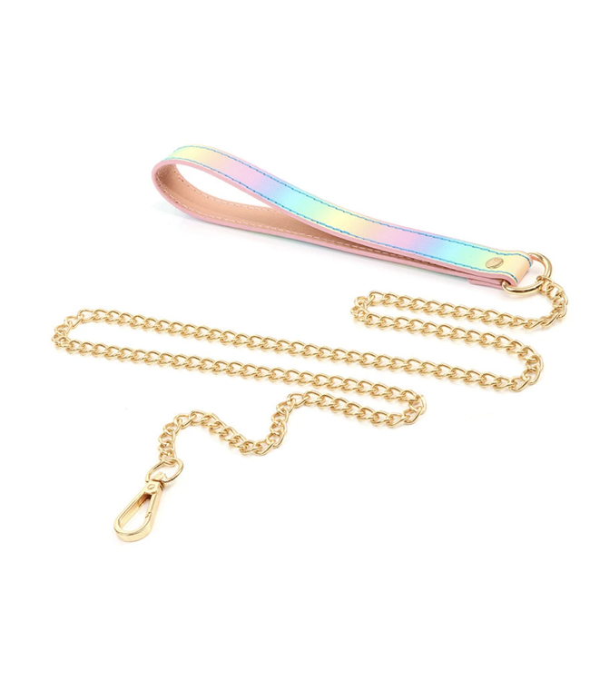 Love is love Collar and leash