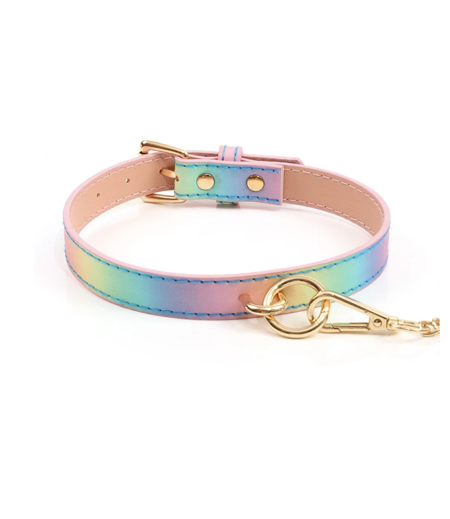 Love is love Collar and leash