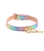 Love is love Collar and leash