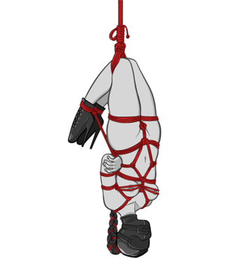 Bondesque Intro to Rope Suspension