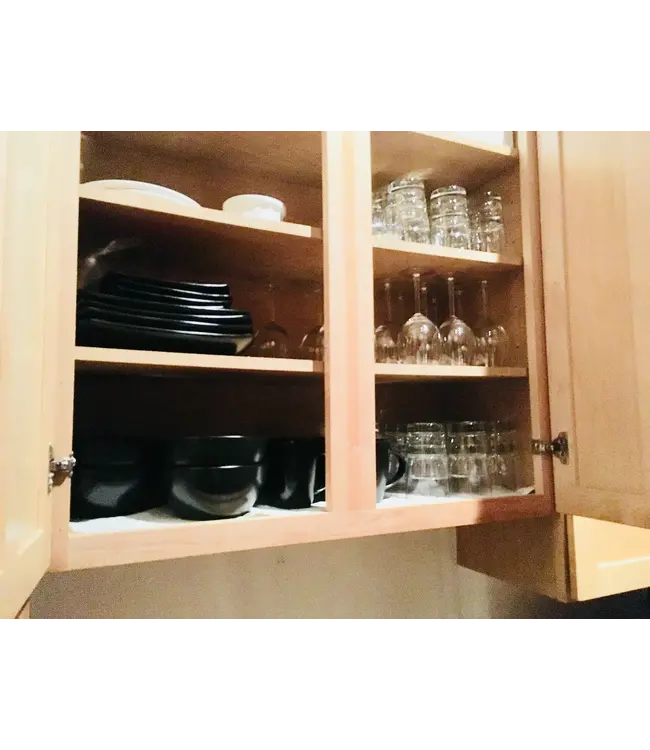 Domina Dungeon Rental